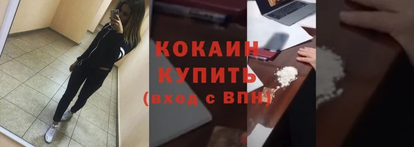 хмурый Пересвет