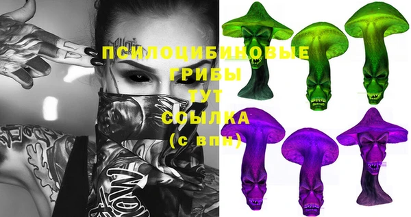 кокс Белокуриха