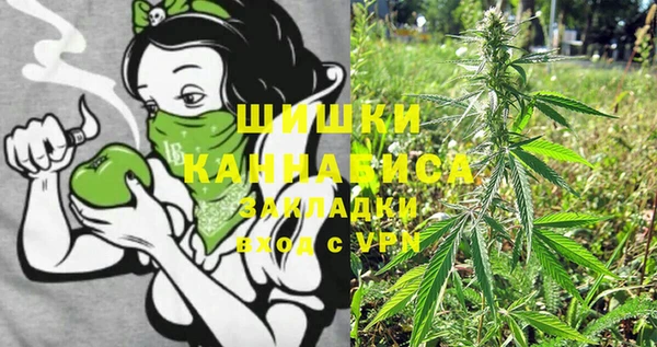 кокс Белокуриха