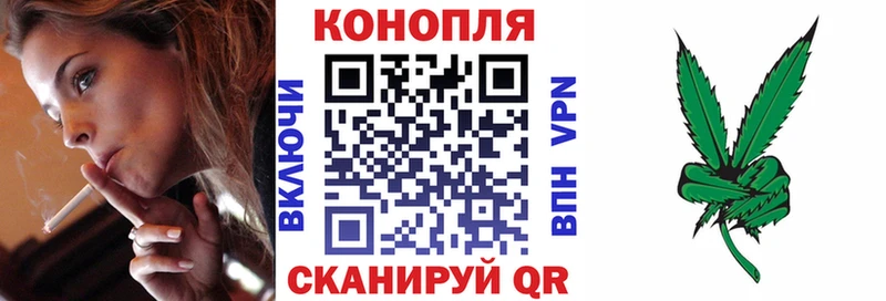 Шишки марихуана конопля  хочу наркоту  сайты даркнета состав  Покровск 